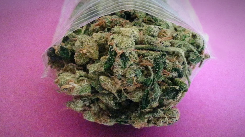 weed
