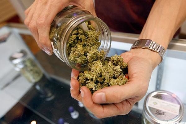 jar of weed